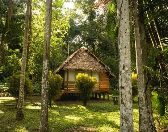 lodge tambopata